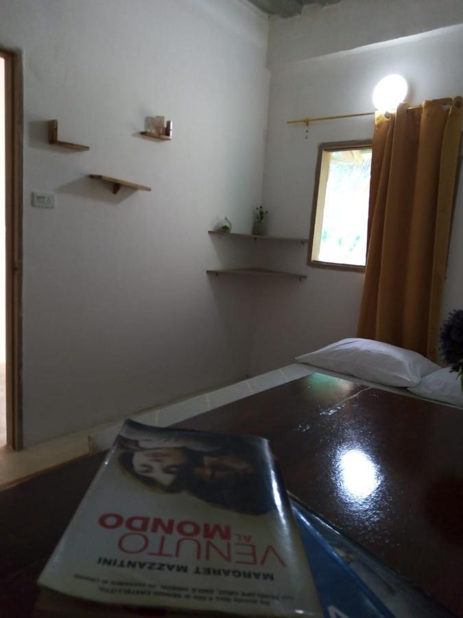 Hostal Paloma Cafe ปาโลมิโน ภายนอก รูปภาพ